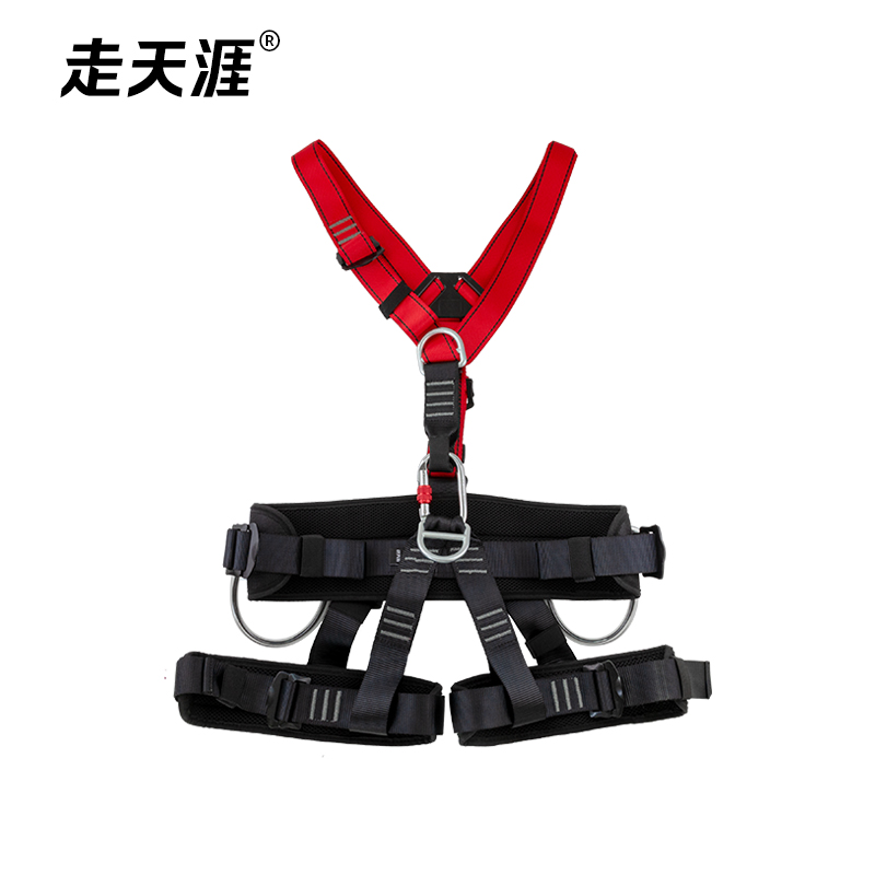 Full-body Harness